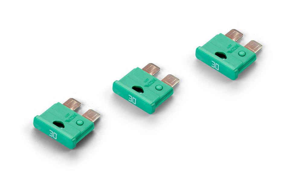 HUDY Fusible primaire 30A (3) (102266)