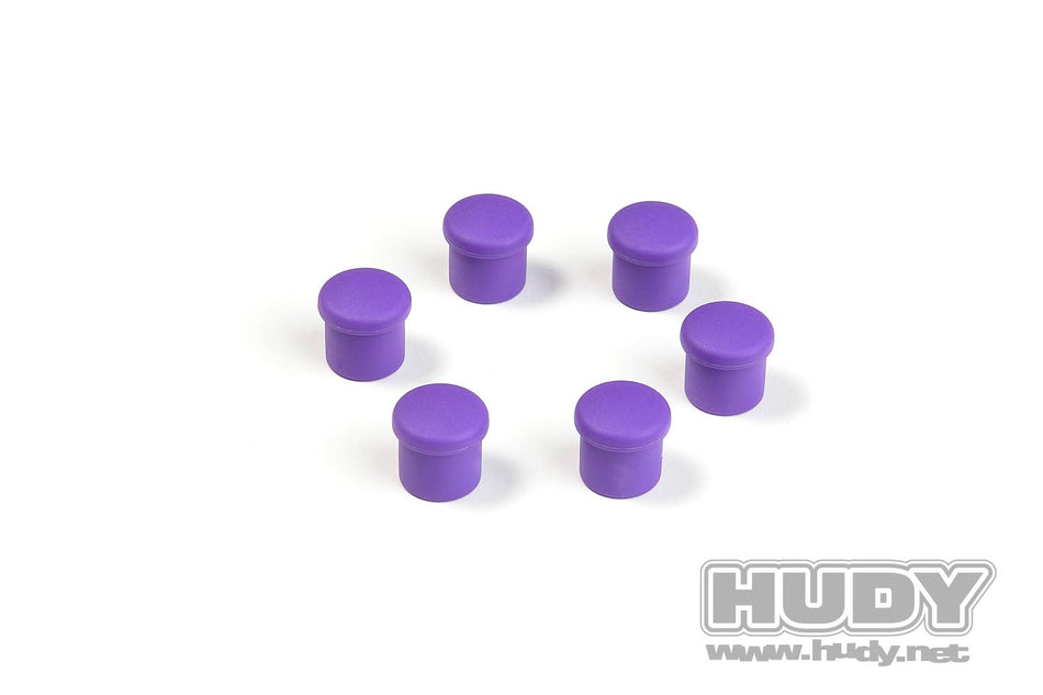 HUDY Bouchon de manche 14mm violet (6) 195054-V