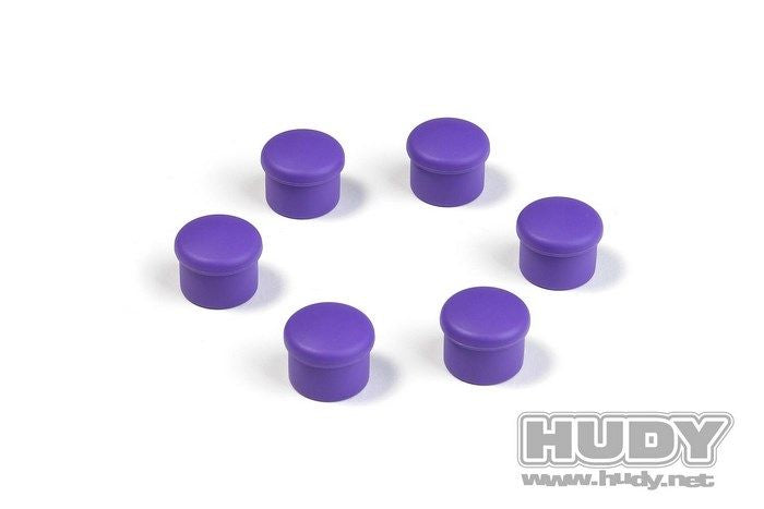 HUDY Bouchon de manche 18mm violet (6) 195058-V